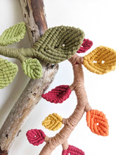 Load image into Gallery viewer, Changing Seasons String Theories Fiber Design