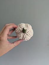 Load image into Gallery viewer, Macrame Fiber Sculptures Pumpkins Tea Light Covers