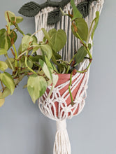 Load image into Gallery viewer, Macrame Wall Plant hanger with Leaves - Pre-Order

