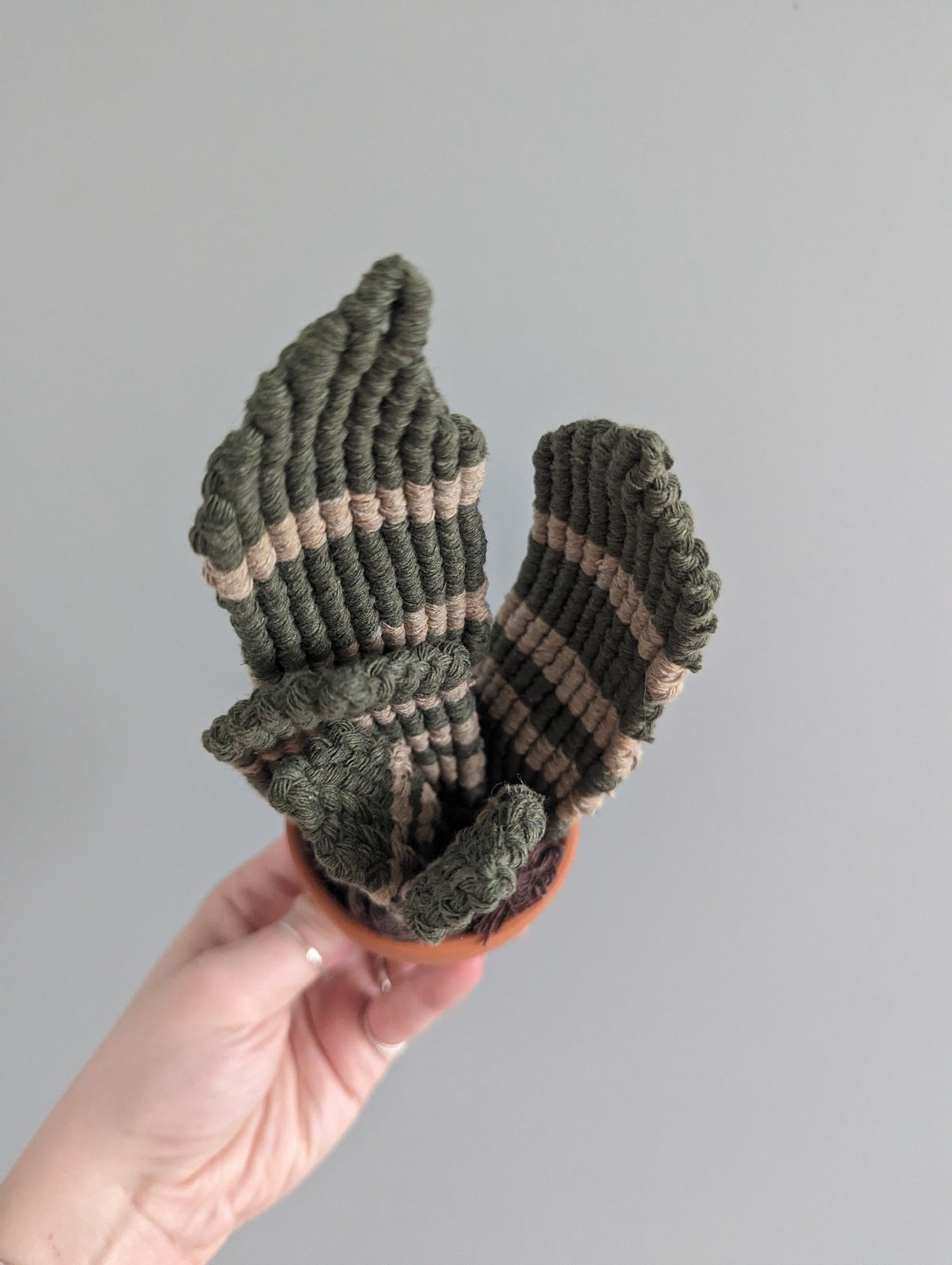 Macrame Snake Plant Pattern / Kit