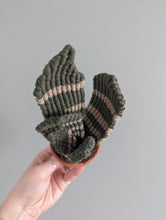 Load image into Gallery viewer, Macrame Snake Plant Pattern / Kit
