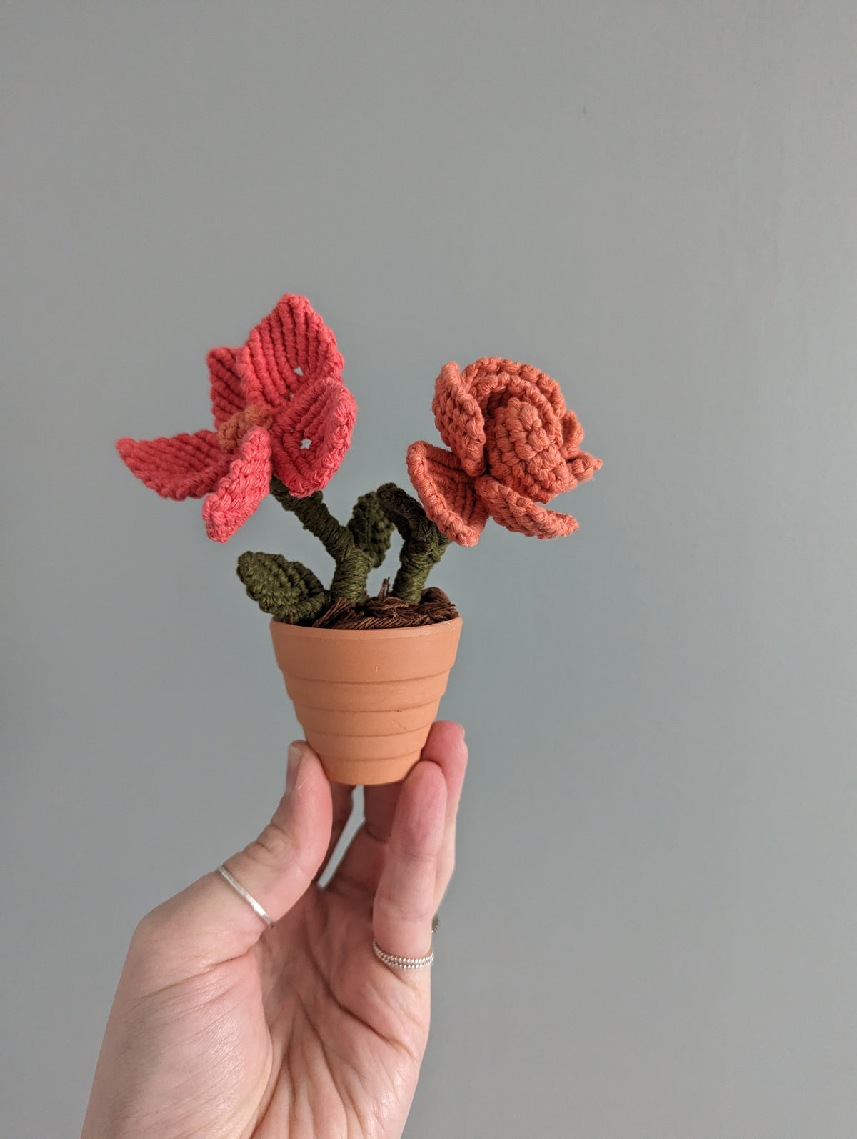 Macrame Flower Pot Pattern