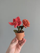 Load image into Gallery viewer, Macrame Flower Pot Pattern