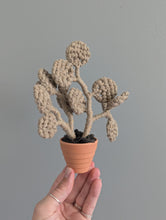 Load image into Gallery viewer, Silver Dollar Eucalyptus Pattern and Kit