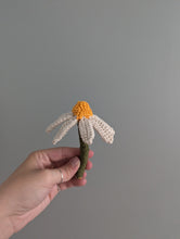 Load image into Gallery viewer, Macrame Echinacea Plant Pattern