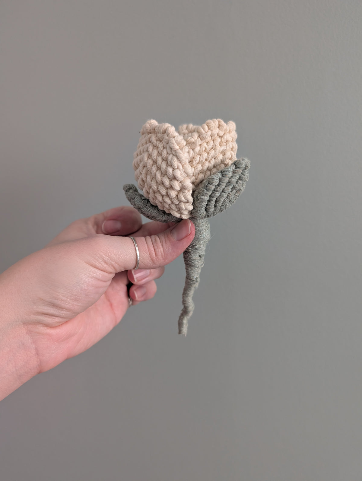 February - Macrame Glass Rose