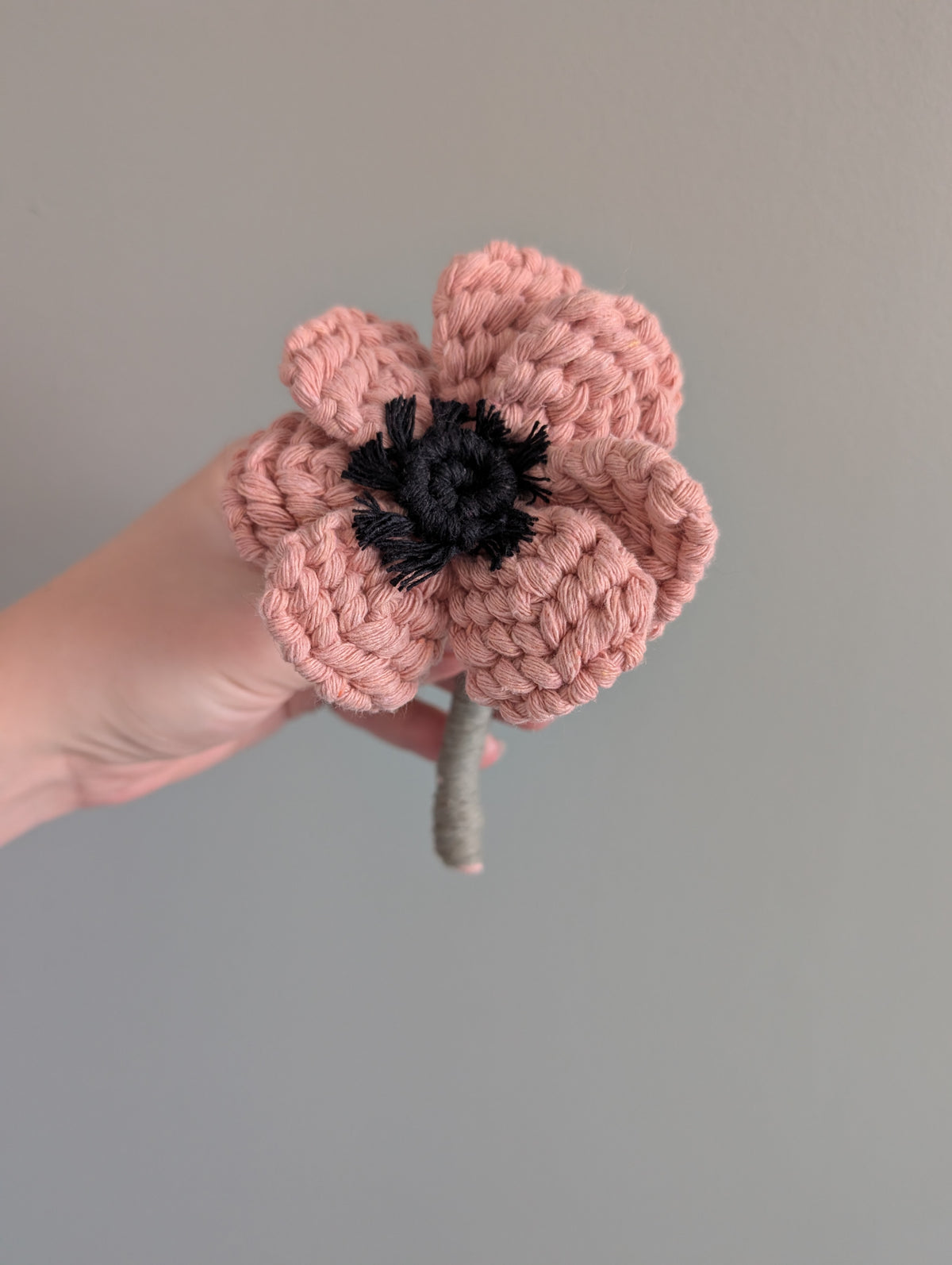 April - Anemone Flower