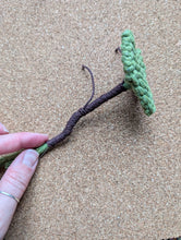 Load image into Gallery viewer, Macrame Elephant Ear Plant Pattern / Kit