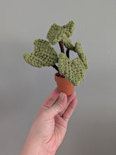 Load image into Gallery viewer, Macrame Elephant Ear Plant Pattern / Kit