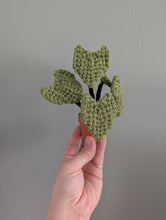 Load image into Gallery viewer, Macrame Elephant Ear Plant Pattern / Kit
