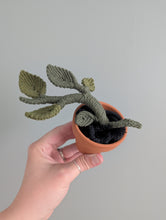 Load image into Gallery viewer, Macrame Pothos Plant Pattern / Kit