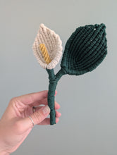 Load image into Gallery viewer, Macrame Peace Lily Plant Pattern / Kit