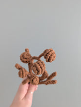 Load image into Gallery viewer, Macrame Bouquet Greenery Pattern / Kit