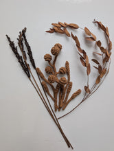 Load image into Gallery viewer, Macrame Bouquet Greenery Pattern / Kit