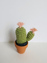 Load image into Gallery viewer, Macrame 3D Cactus Kit