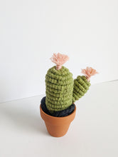 Load image into Gallery viewer, Macrame 3D Cactus Kit