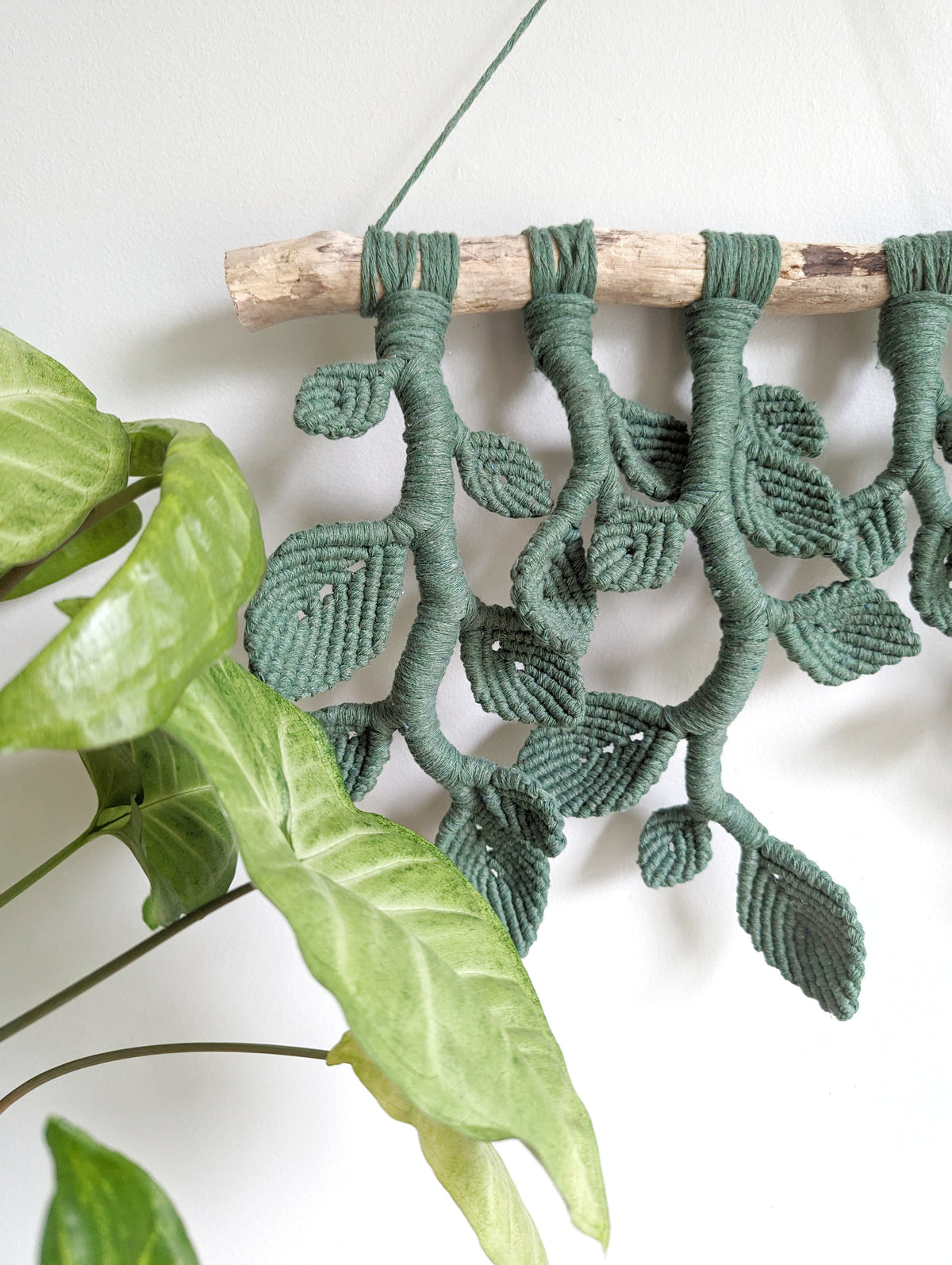 Ivy Green Macrame Wall Hanging - Hanging Vines and Leaves - Sculpture