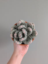 Load image into Gallery viewer, Macrame Large 3D Succulent Pattern