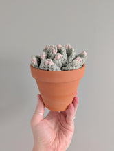 Load image into Gallery viewer, Macrame Large 3D Succulent Pattern