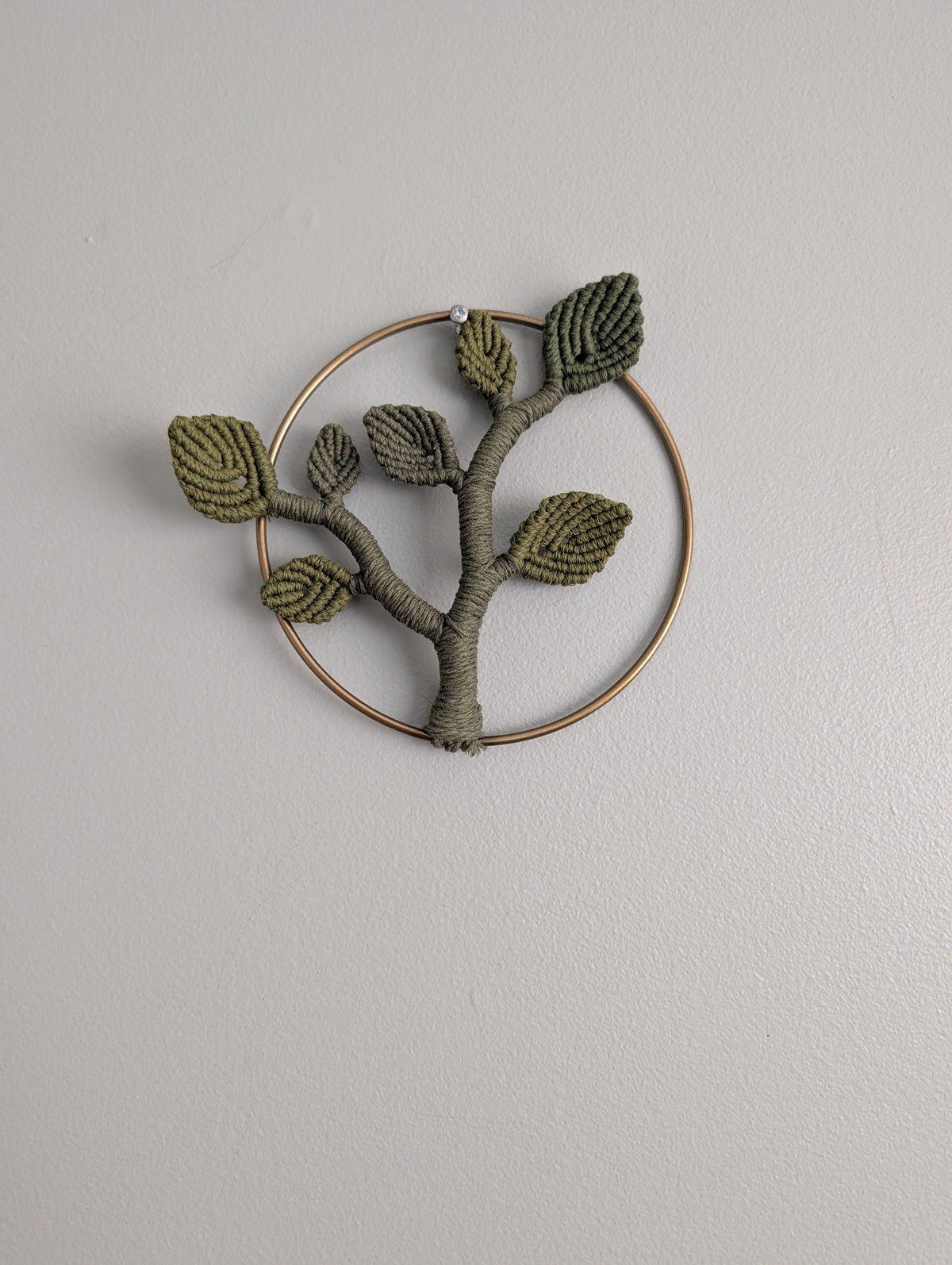 Mini Leafy Frames - Mushrooms & Dried Florals - Option 1