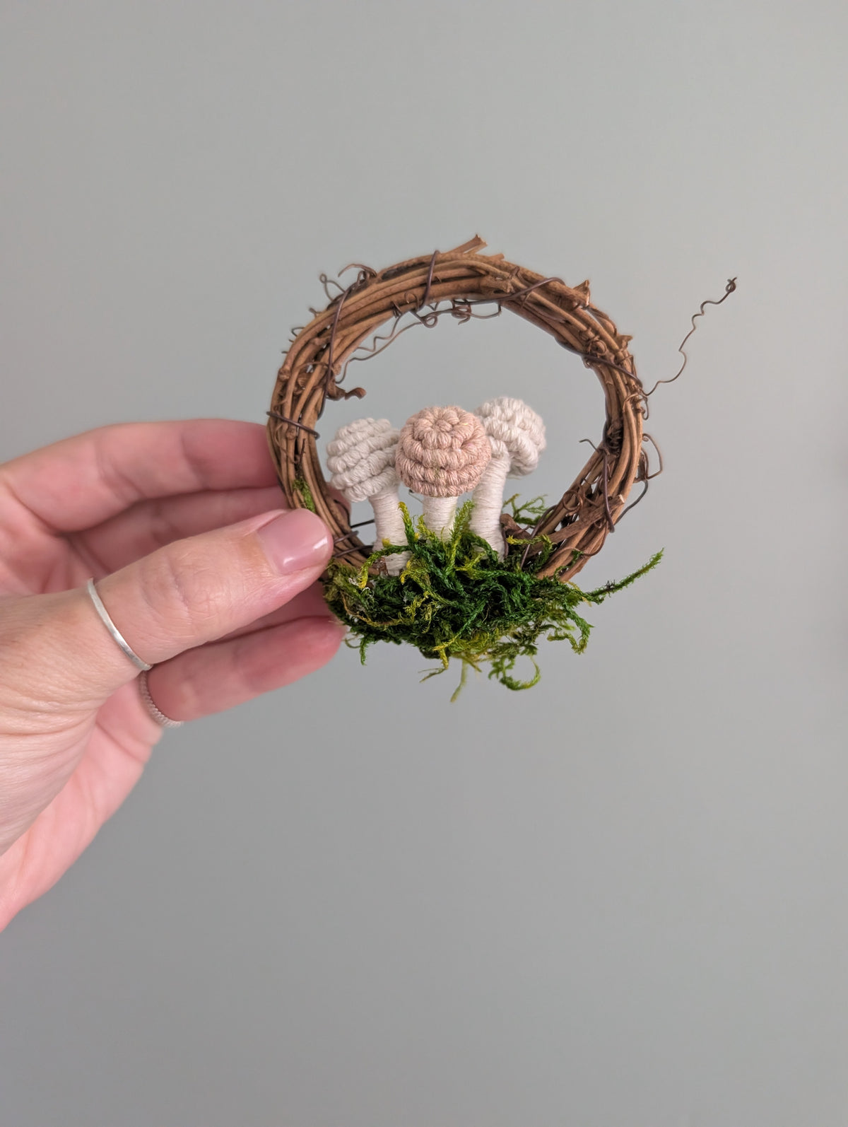 Mini Mushroom Scapes on Vine Frames