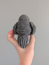 Load image into Gallery viewer, Macrame Robin Pattern / Kit