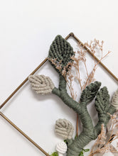 Load image into Gallery viewer, Mini Leafy Frames - Mushrooms & Dried Florals - Option 4