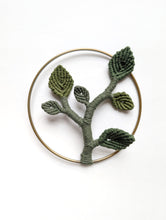 Load image into Gallery viewer, Mini Leafy Frames - Mushrooms & Dried Florals - Option 3