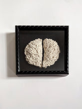 Load image into Gallery viewer, Macrame Brain String Theories Fiber Design