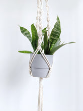 Load image into Gallery viewer, Macrame Plant Hanger Kit