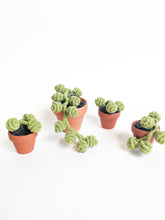 Load image into Gallery viewer, Macrame Succulent String of Pearls in Pot Sculpture String Theories Fiber Design