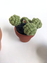 Load image into Gallery viewer, Macrame Succulent String of Pearls in Pot Sculpture String Theories Fiber Design