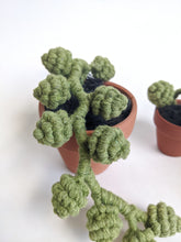 Load image into Gallery viewer, Macrame Succulent String of Pearls in Pot Sculpture String Theories Fiber Design