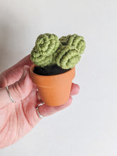 Load image into Gallery viewer, Macrame String of Pearls Kit String Theories Fiber Design