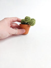 Load image into Gallery viewer, Macrame String of Pearls Kit String Theories Fiber Design