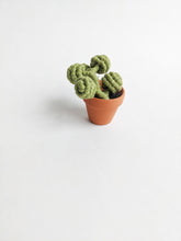 Load image into Gallery viewer, Macrame String of Pearls Kit String Theories Fiber Design