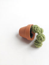 Load image into Gallery viewer, Macrame String of Pearls Kit String Theories Fiber Design