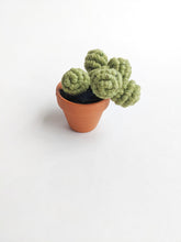 Load image into Gallery viewer, Macrame String of Pearls Kit String Theories Fiber Design