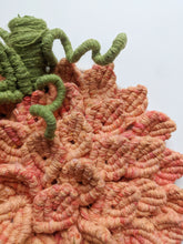 Load image into Gallery viewer, Macrame Hyrangea Pumpkin