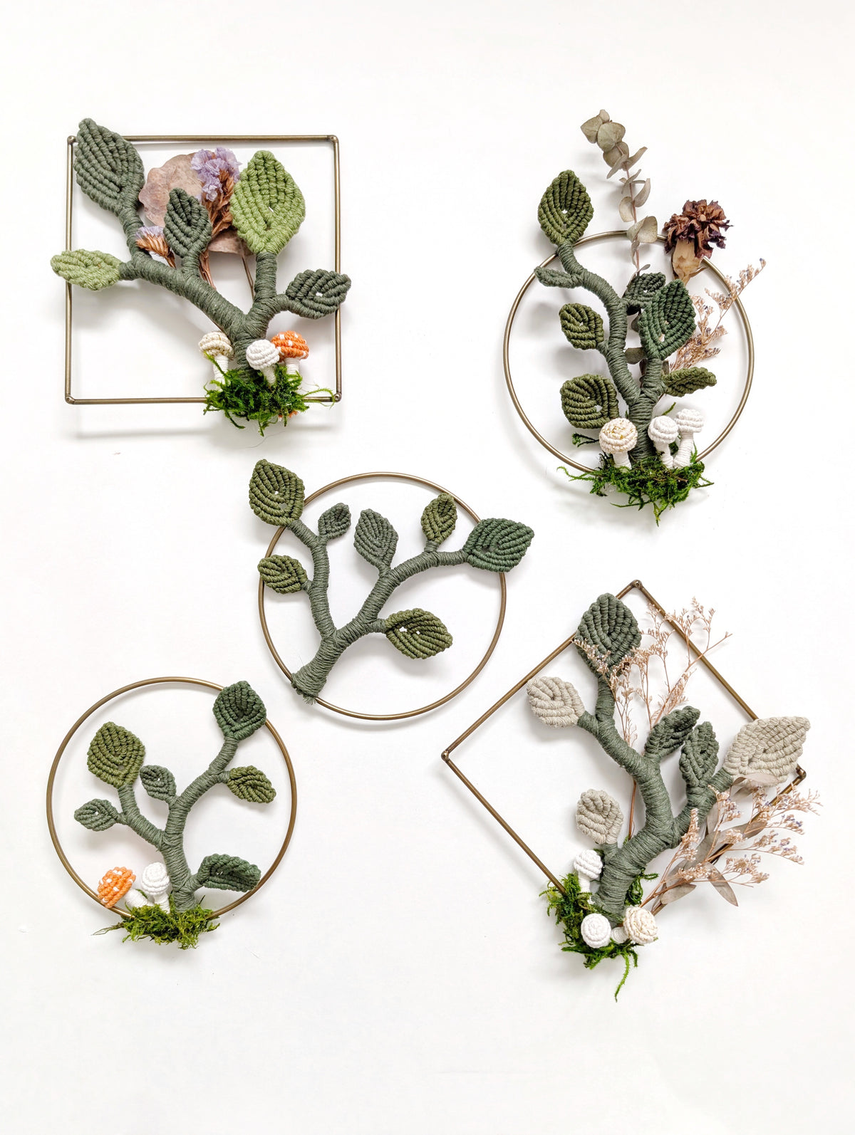 Dried Floral Collection