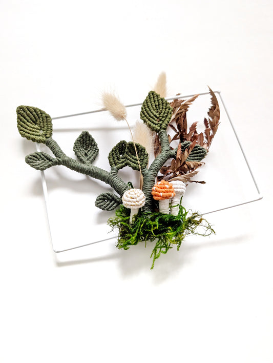 Mini Leafy Frames - Mushrooms & Dried Florals - Option 6