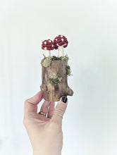 Load image into Gallery viewer, Macrame driftwood stump mushrooms and moss
