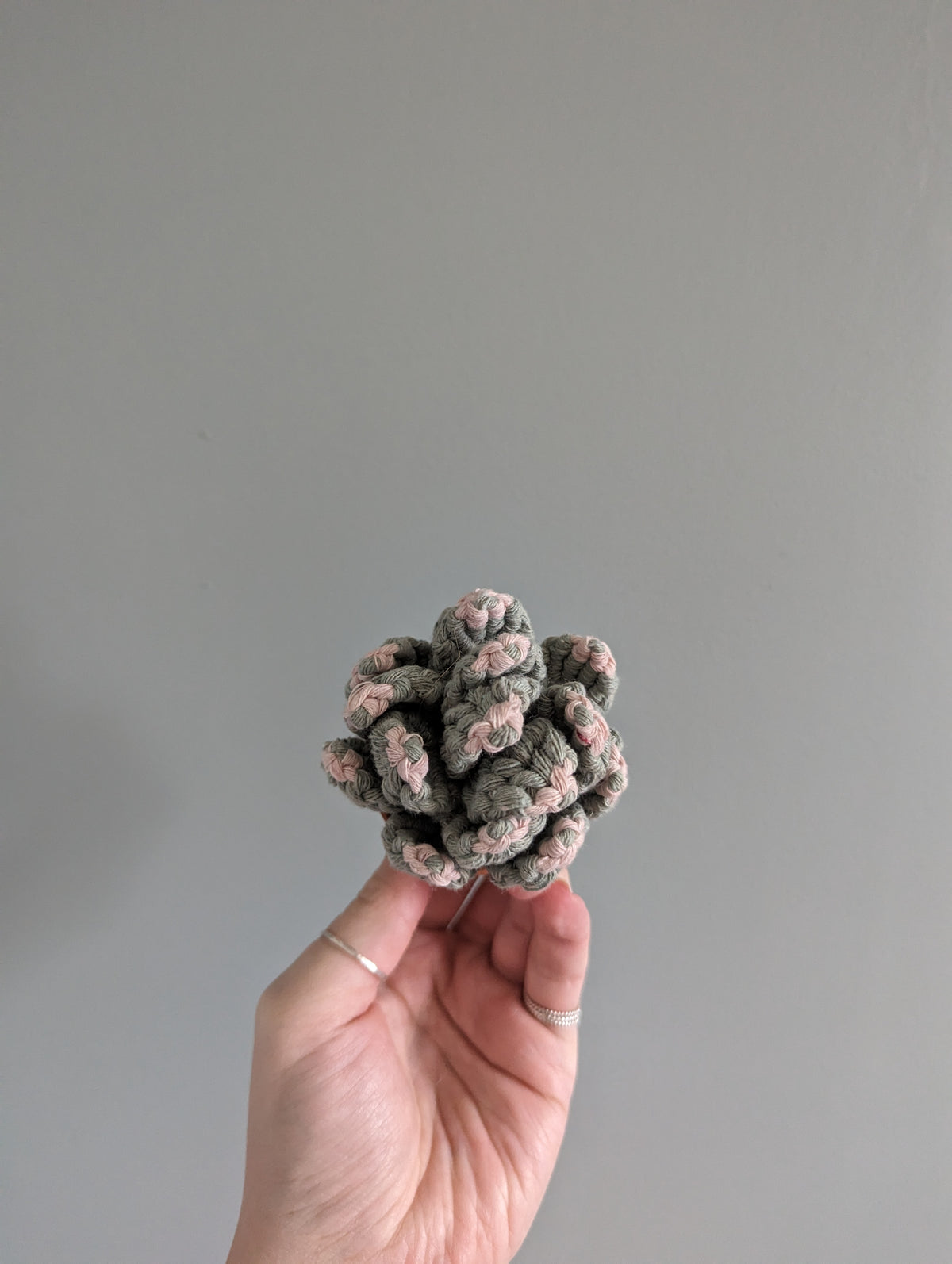 Macrame 3D Succulent Pattern