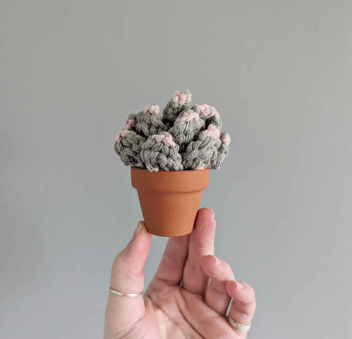 Macrame 3D Succulent Pattern