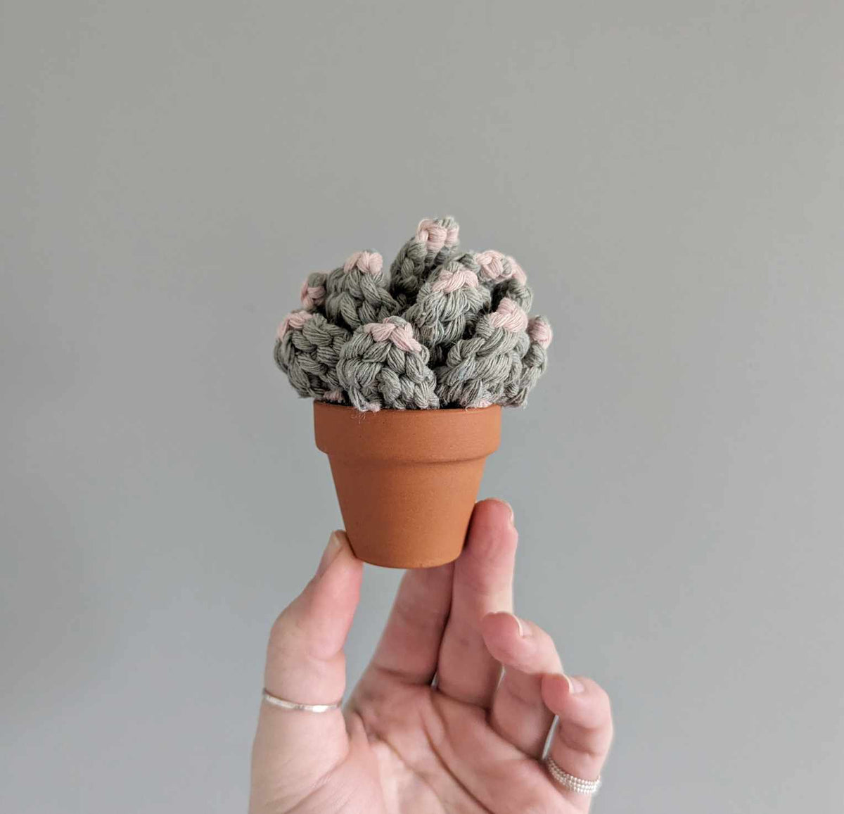 Macrame 3D Succulent Pattern