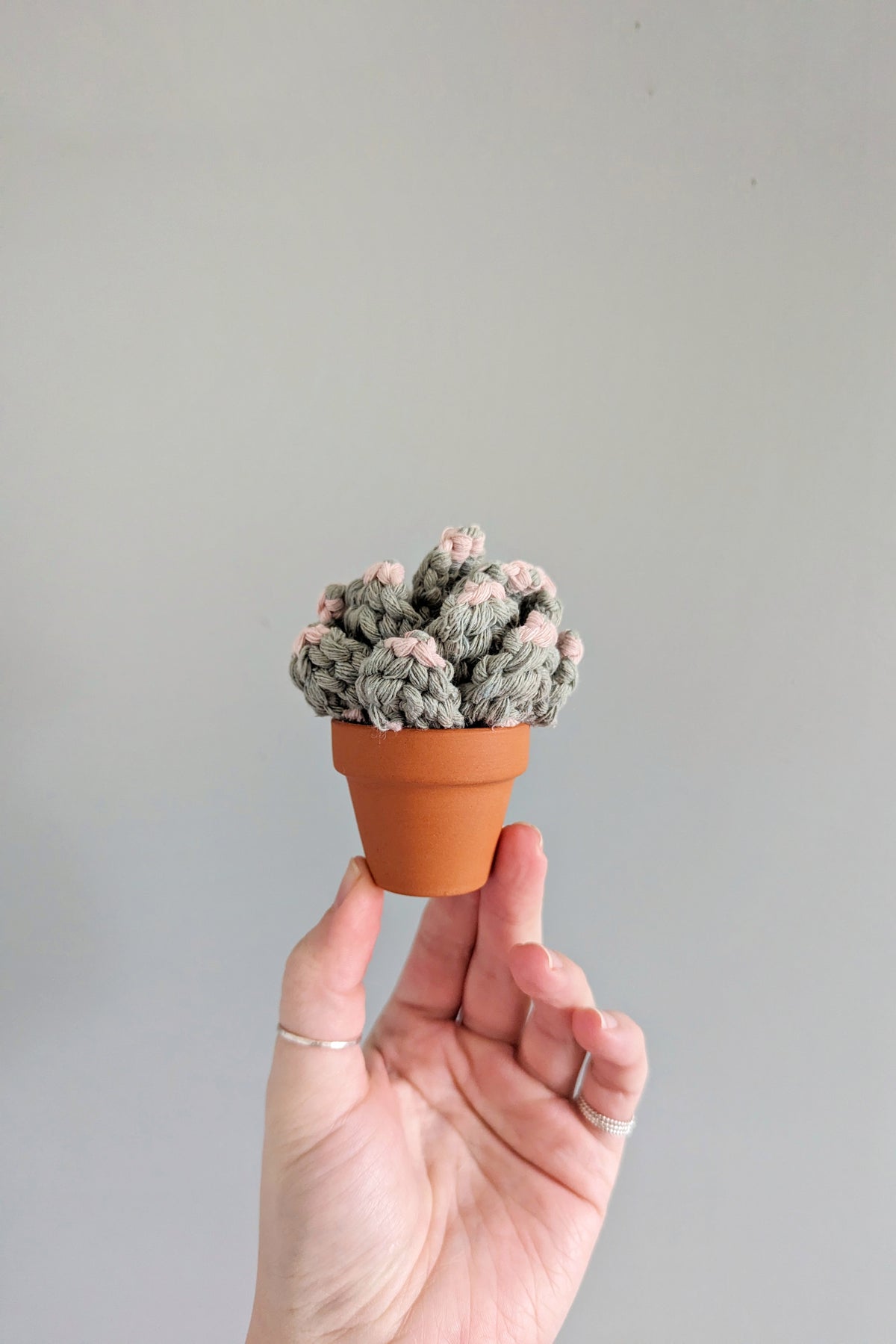 Macrame 3D Succulent Pattern