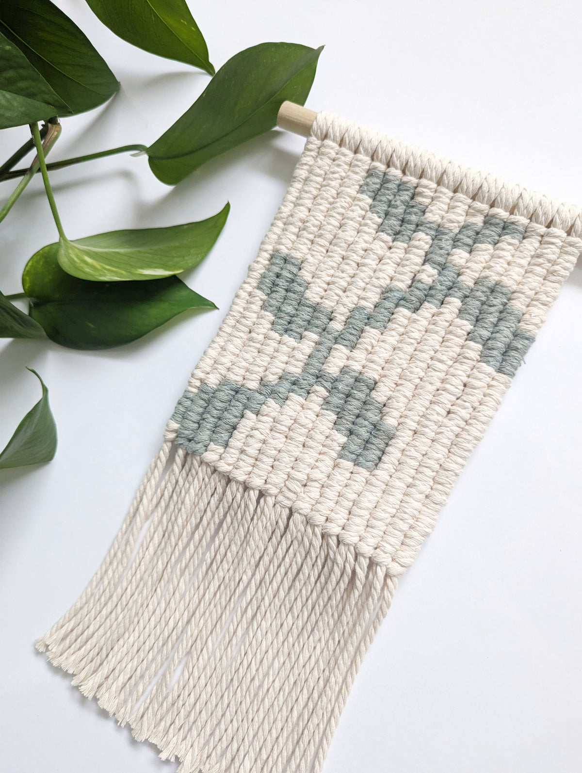 Macrame Pixel Vines & Leaves Wall Hanging Pattern - (not a full kit)