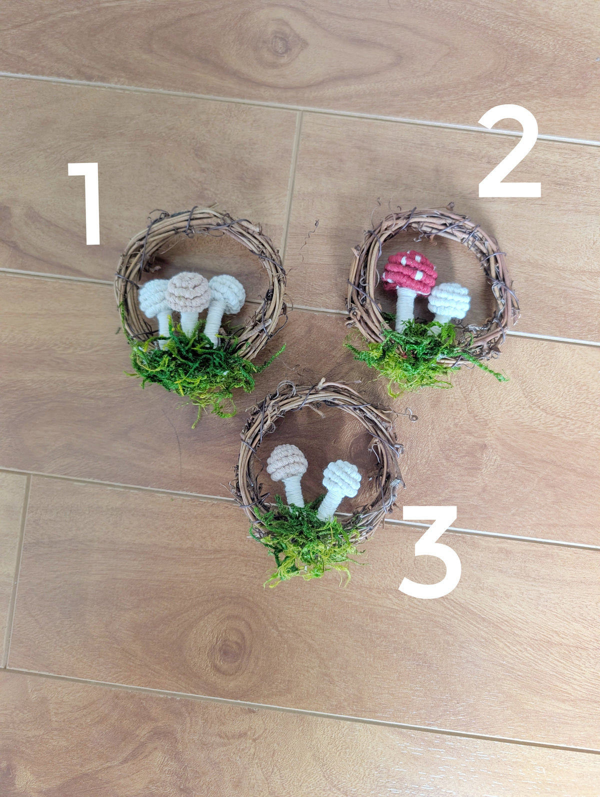 Mini Mushroom Scapes on Vine Frames