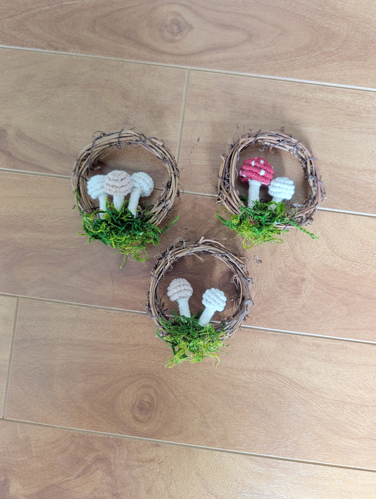 Mini Mushroom Scapes on Vine Frames