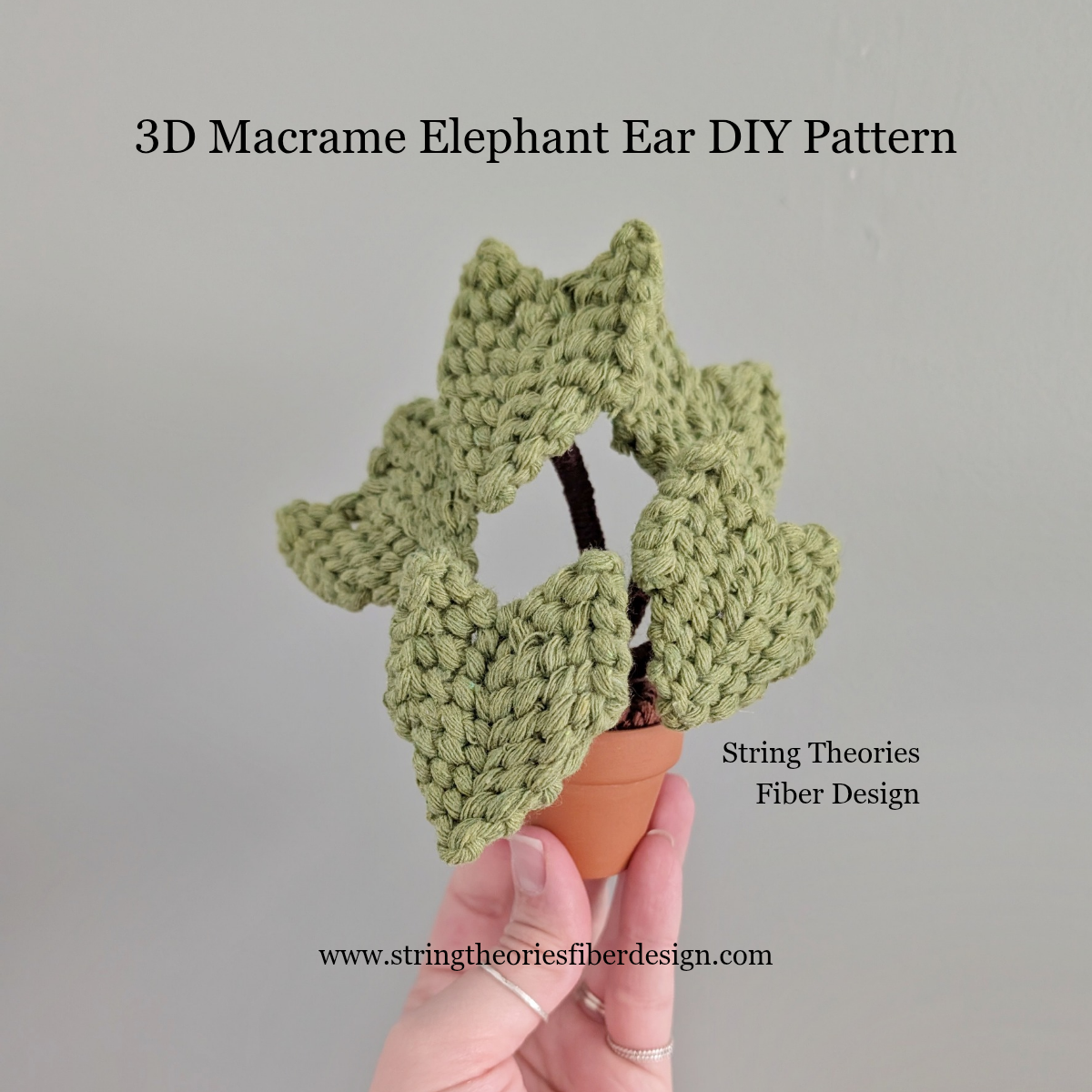 Macrame Elephant Ear Plant Pattern / Kit